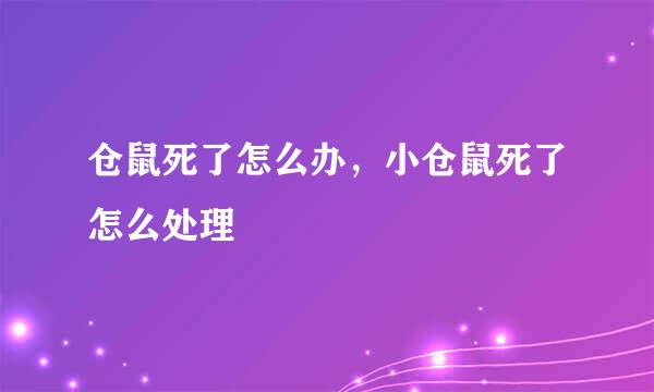 仓鼠死了怎么办，小仓鼠死了怎么处理