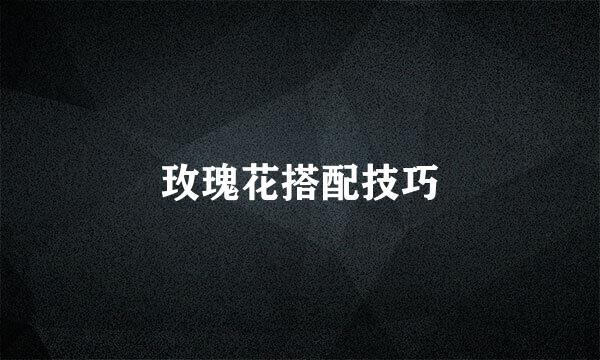 玫瑰花搭配技巧