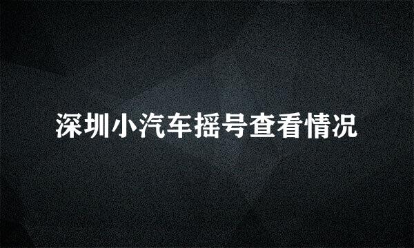 深圳小汽车摇号查看情况
