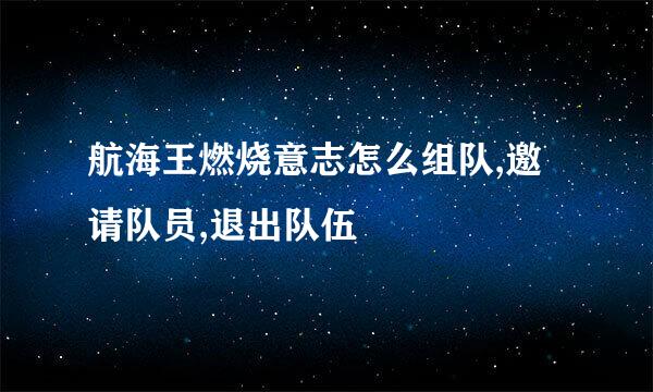 航海王燃烧意志怎么组队,邀请队员,退出队伍