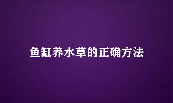 鱼缸养水草的正确方法