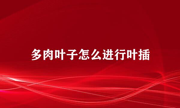 多肉叶子怎么进行叶插