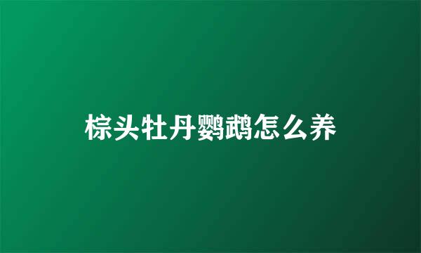 棕头牡丹鹦鹉怎么养