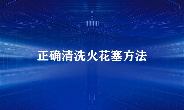 正确清洗火花塞方法