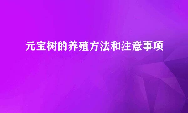 元宝树的养殖方法和注意事项