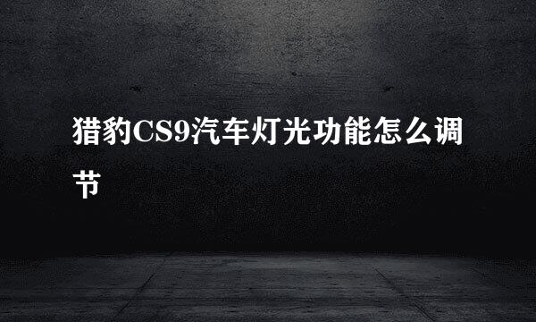 猎豹CS9汽车灯光功能怎么调节