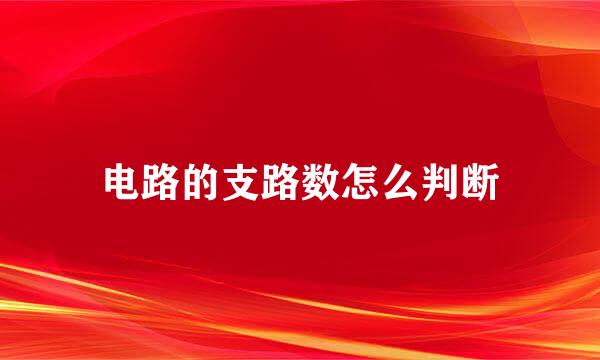 电路的支路数怎么判断