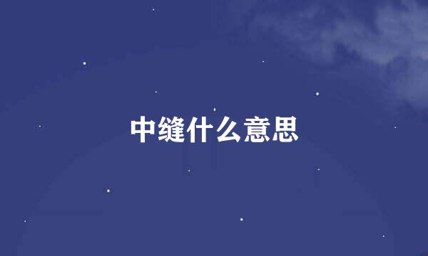 中缝什么意思