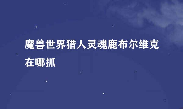 魔兽世界猎人灵魂鹿布尔维克在哪抓