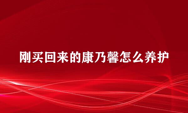 刚买回来的康乃馨怎么养护