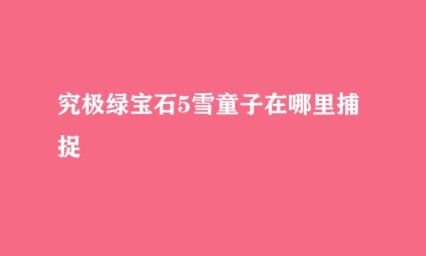 究极绿宝石5雪童子在哪里捕捉
