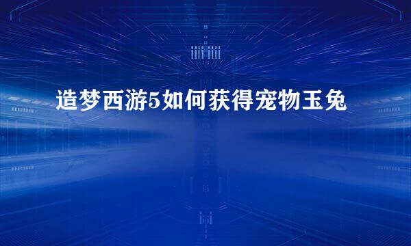 造梦西游5如何获得宠物玉兔