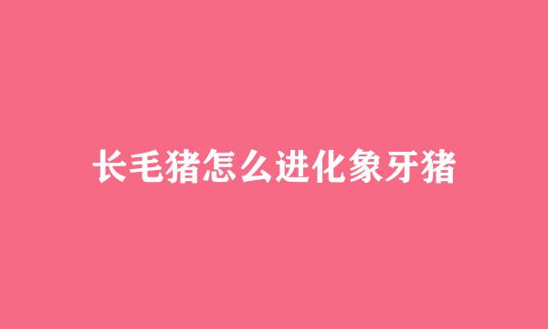 长毛猪怎么进化象牙猪