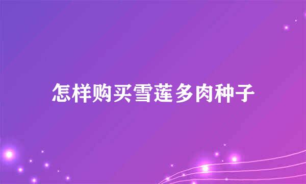 怎样购买雪莲多肉种子