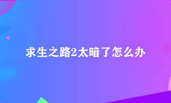 求生之路2太暗了怎么办