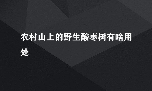 农村山上的野生酸枣树有啥用处