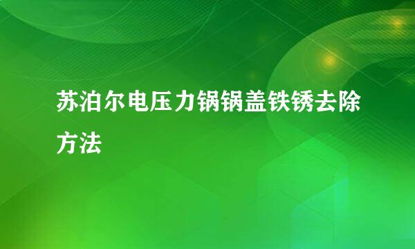 苏泊尔电压力锅锅盖铁锈去除方法
