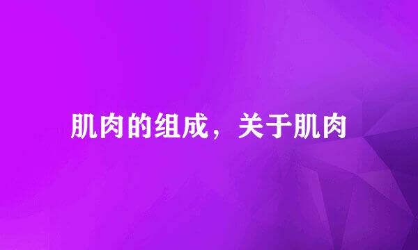 肌肉的组成，关于肌肉