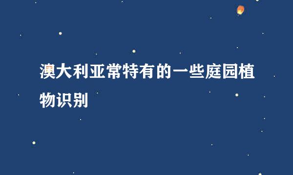 澳大利亚常特有的一些庭园植物识别