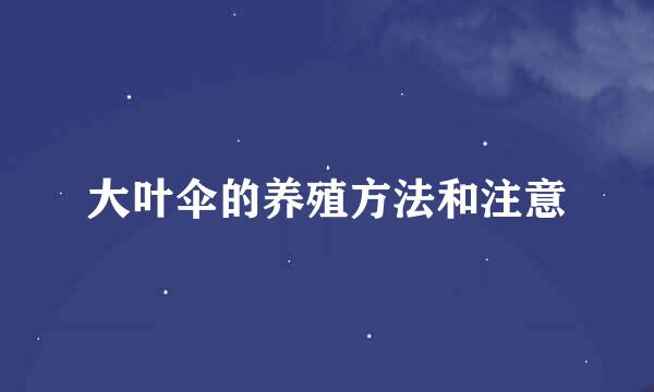 大叶伞的养殖方法和注意
