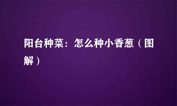 阳台种菜：怎么种小香葱（图解）