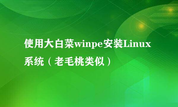 使用大白菜winpe安装Linux系统（老毛桃类似）