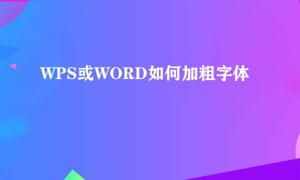 WPS或WORD如何加粗字体