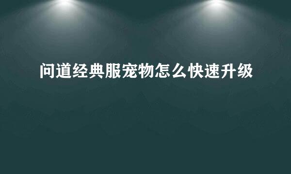 问道经典服宠物怎么快速升级