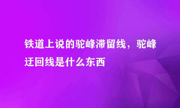 铁道上说的驼峰滞留线，驼峰迂回线是什么东西