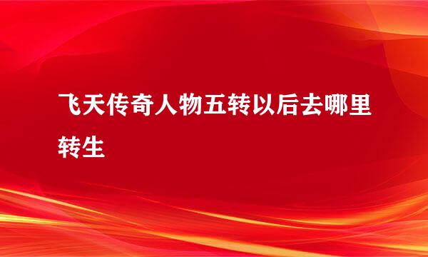 飞天传奇人物五转以后去哪里转生