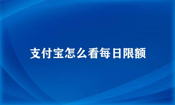 支付宝怎么看每日限额