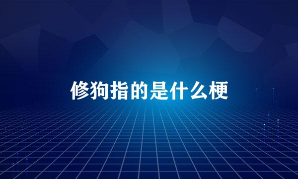 修狗指的是什么梗