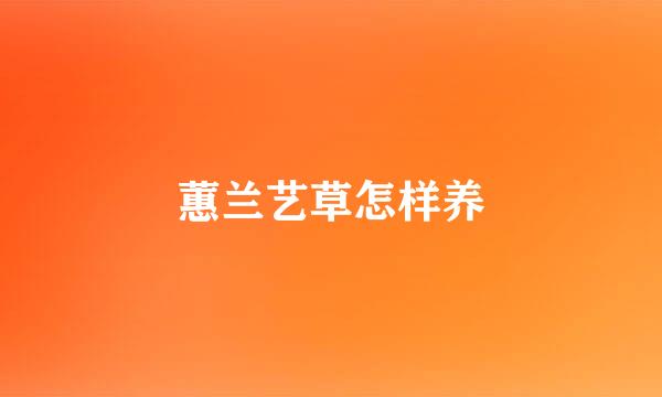 蕙兰艺草怎样养