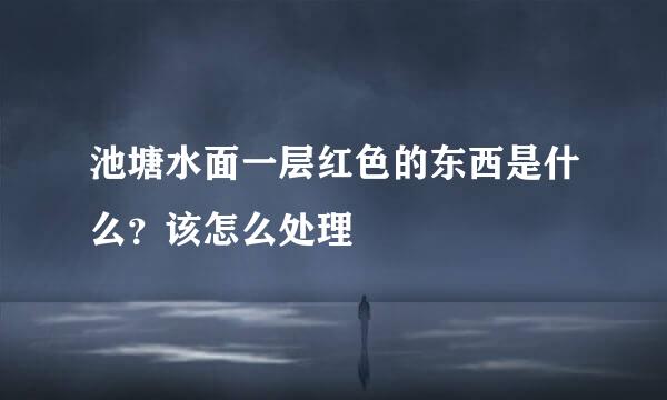池塘水面一层红色的东西是什么？该怎么处理