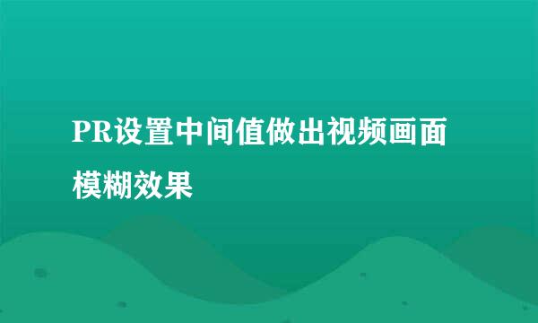 PR设置中间值做出视频画面模糊效果