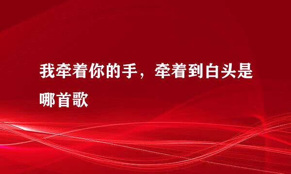 我牵着你的手，牵着到白头是哪首歌