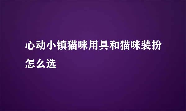心动小镇猫咪用具和猫咪装扮怎么选