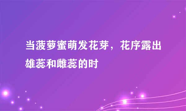 当菠萝蜜萌发花芽，花序露出雄蕊和雌蕊的时
