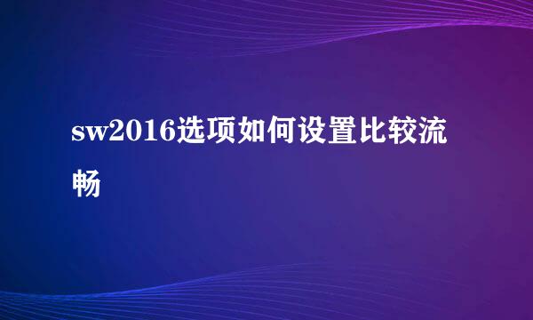 sw2016选项如何设置比较流畅