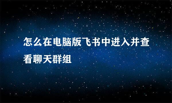 怎么在电脑版飞书中进入并查看聊天群组