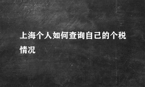 上海个人如何查询自己的个税情况