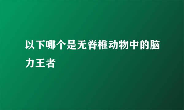 以下哪个是无脊椎动物中的脑力王者