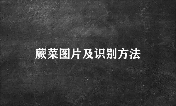 蕨菜图片及识别方法