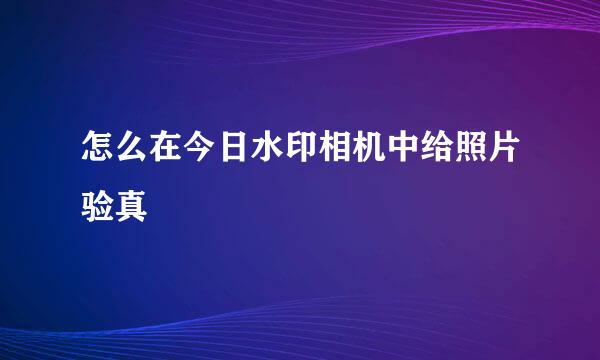 怎么在今日水印相机中给照片验真