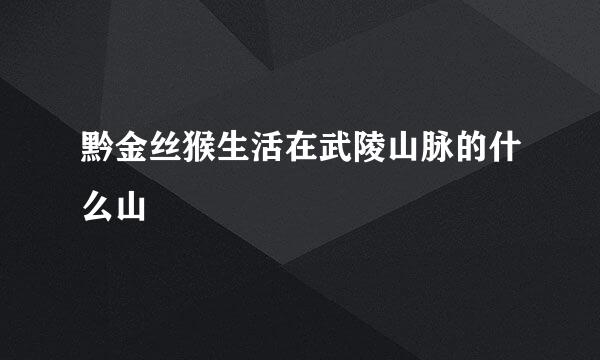 黔金丝猴生活在武陵山脉的什么山