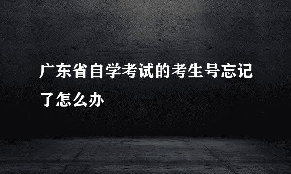 广东省自学考试的考生号忘记了怎么办