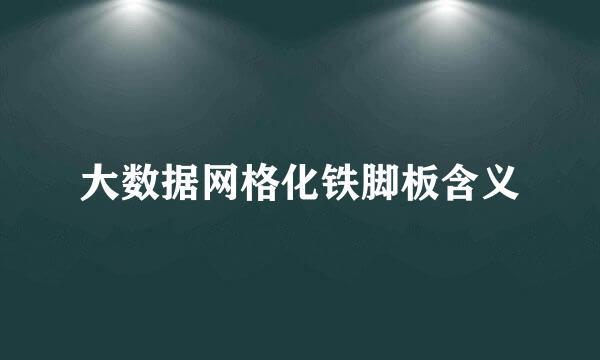 大数据网格化铁脚板含义