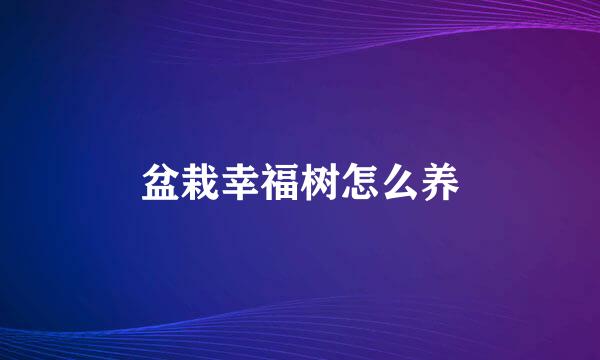 盆栽幸福树怎么养