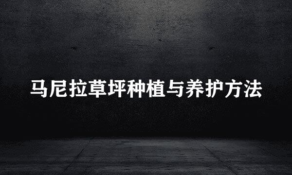 马尼拉草坪种植与养护方法