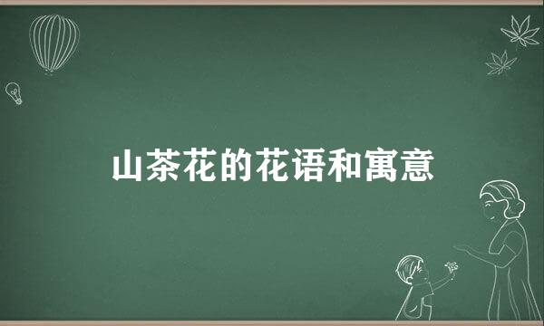 山茶花的花语和寓意